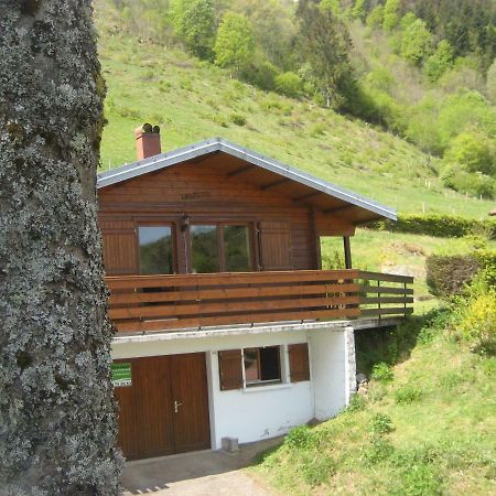 Chalet Les Jonquilles La Bresse Εξωτερικό φωτογραφία