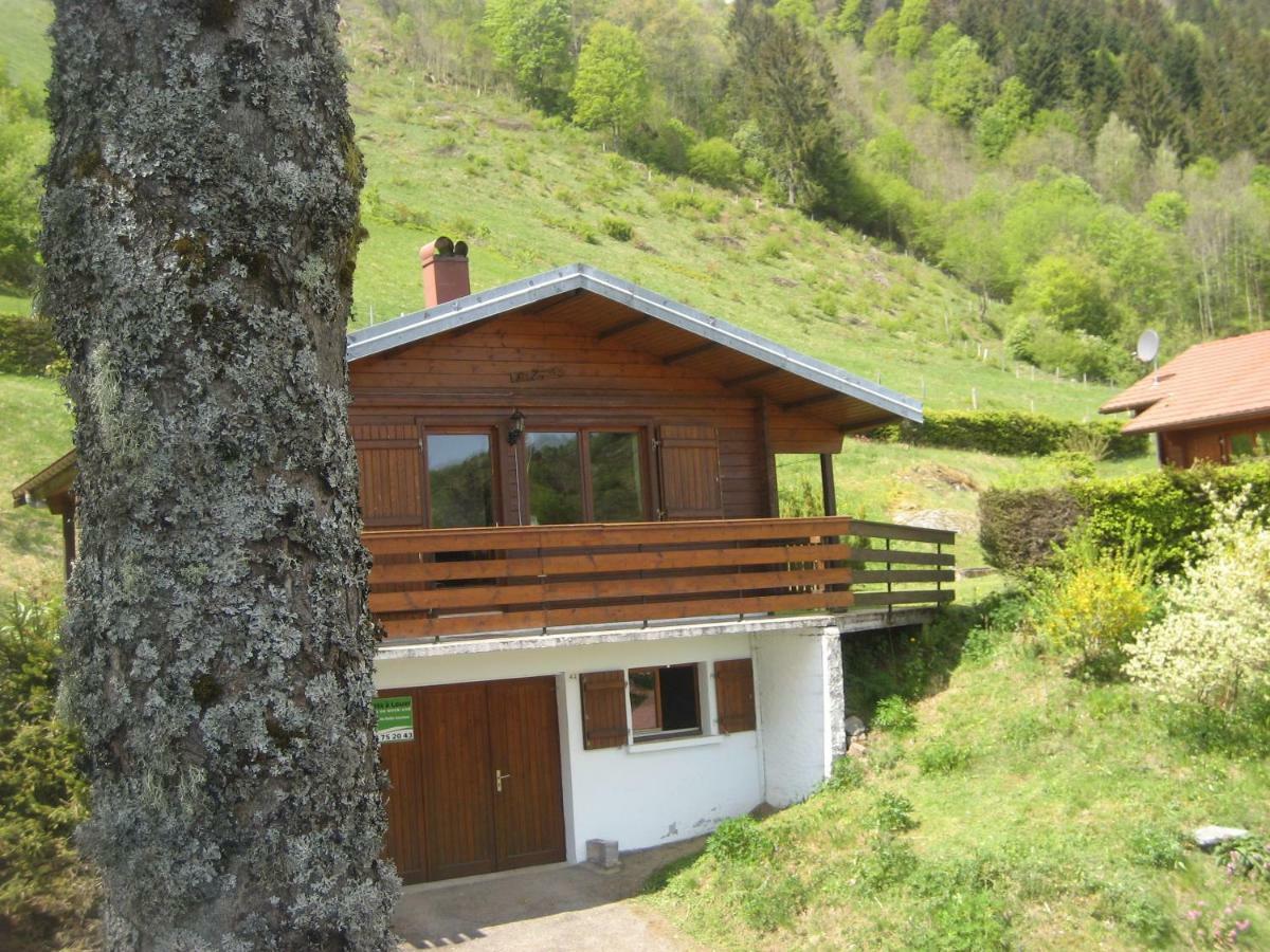 Chalet Les Jonquilles La Bresse Εξωτερικό φωτογραφία